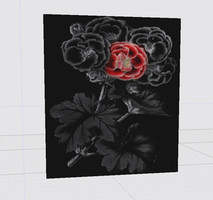 Rose on Black, Canvas Print