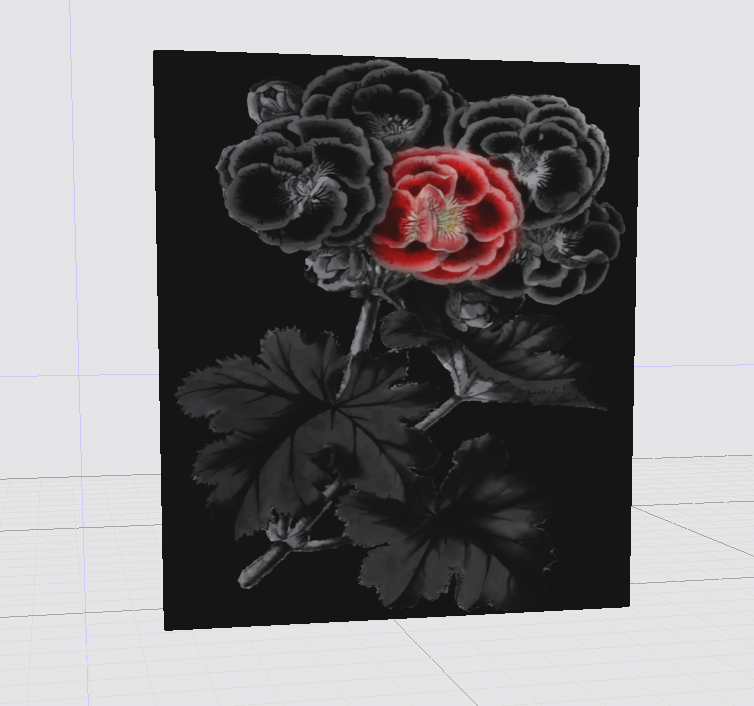 Rose on Black, Canvas Print