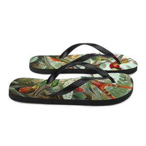 KOLIBRI Flip-Flops