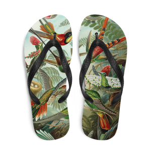 KOLIBRI Flip-Flops