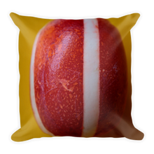 Load image into Gallery viewer, COLOMBUS EGG Premium Pillow