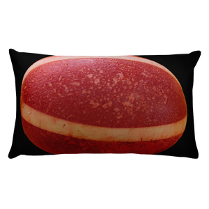 COLOMBUS EGG Premium Pillow
