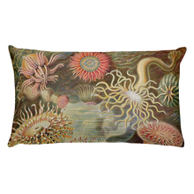 Load image into Gallery viewer, AKTINIA Premium Pillow