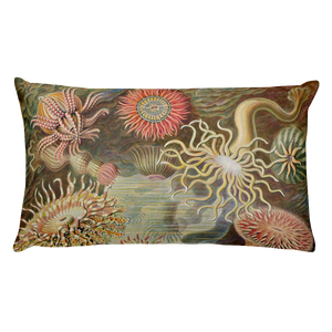 AKTINIA Premium Pillow