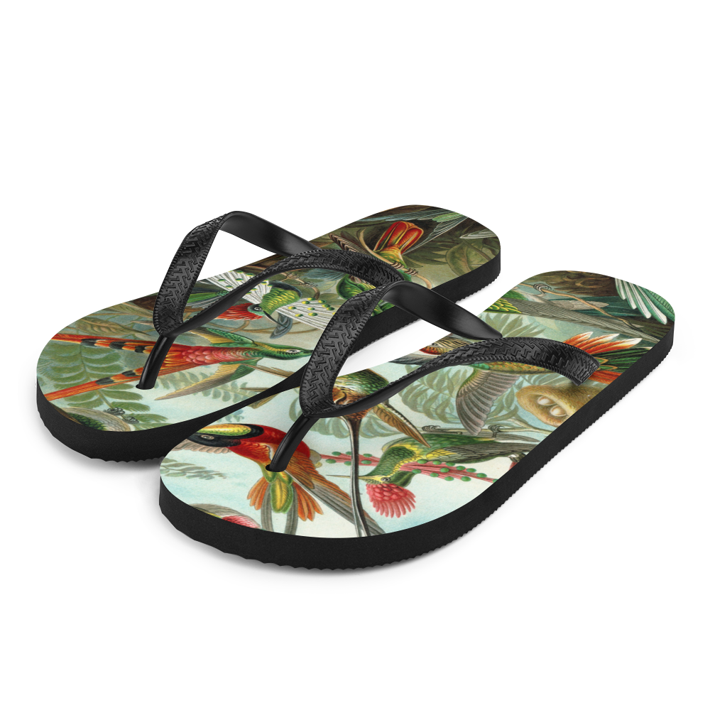 KOLIBRI Flip-Flops