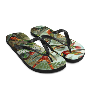 KOLIBRI Flip-Flops