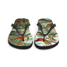Load image into Gallery viewer, KOLIBRI Flip-Flops