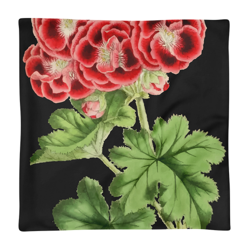 ROUGE-CŒUR Pillow
