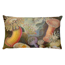 Load image into Gallery viewer, AKTINIA Premium Pillow