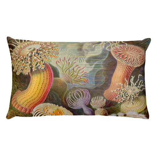 AKTINIA Premium Pillow
