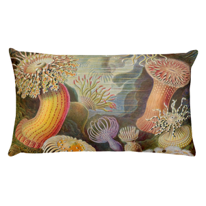 AKTINIA Premium Pillow