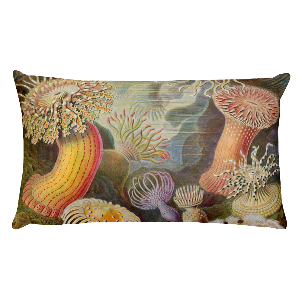 AKTINIA Premium Pillow
