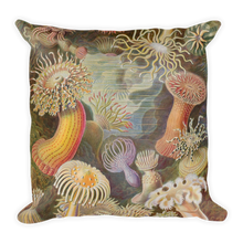 Load image into Gallery viewer, AKTINIA Premium Pillow