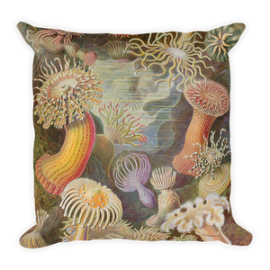 AKTINIA Premium Pillow