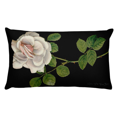 ADDISONIA ZURI Premium Pillow